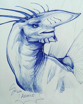 Arnold sketch