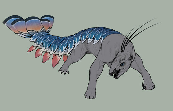 first concept