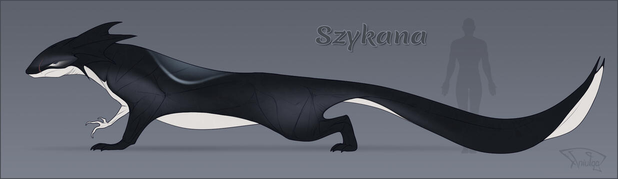 Reference sheet