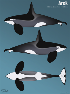 Reference sheet