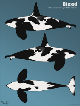 Reference sheet