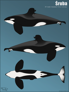Reference sheet