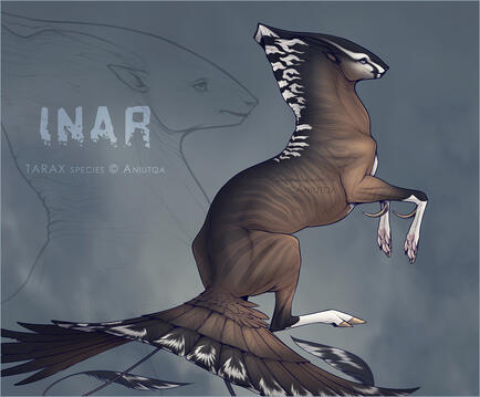 Inar