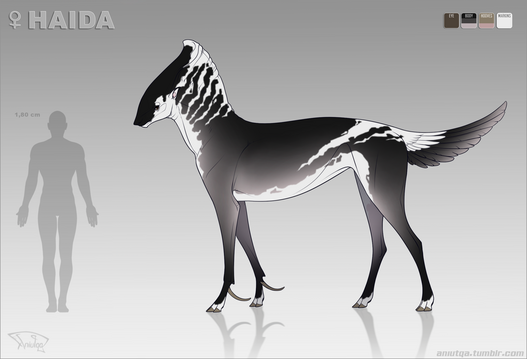 Reference sheet