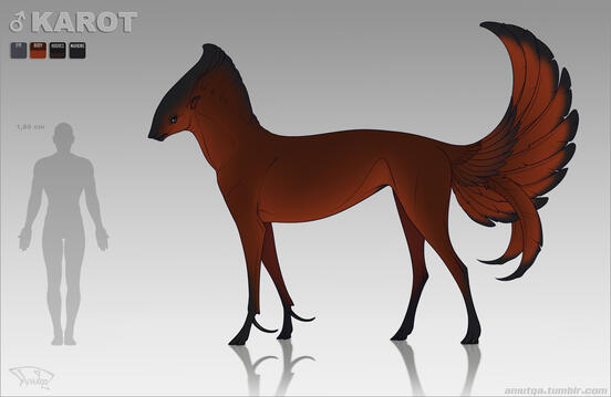 Reference sheet