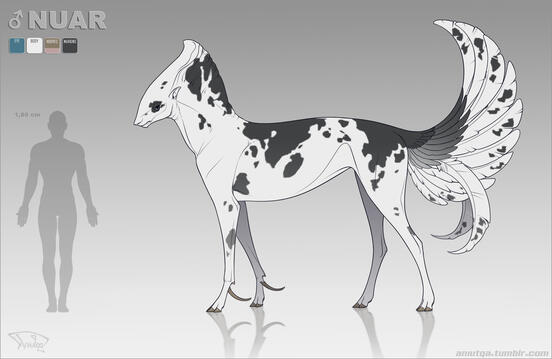 Reference sheet