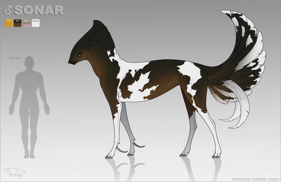 Reference sheet